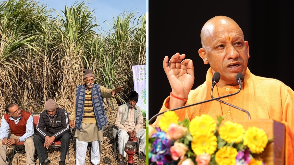 up become number one in sugarcane payment yogi government sent record-3.21-lakh-crore rupees to farmers accountsयोगी सरकार ने पेराई सत्र 2025-26 में गन्ना मूल्यों की दरों में 30 रुपये प्रति कुंतल की ऐतिहासिक वृद्धि भी की 