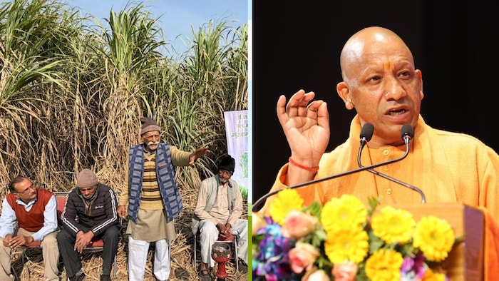 up become number one in sugarcane payment yogi government sent record-3.21-lakh-crore rupees to farmers accountsयोगी सरकार ने पेराई सत्र 2025-26 में गन्ना मूल्यों की दरों में 30 रुपये प्रति कुंतल की ऐतिहासिक वृद्धि भी की