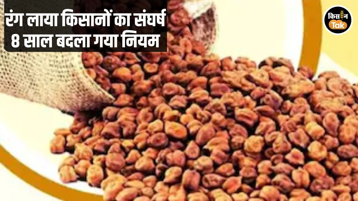 राजस्‍थान के किसानों की बड़ी जीत: RAJFED ने फसल खरीदी रजिस्‍ट्रेशन का नियम बदला, रामपाल जाट ने कही ये बात