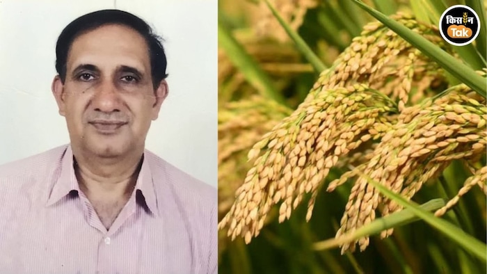 धान की MSP पर कृषि वैज्ञानिक ने उठाए सवाल