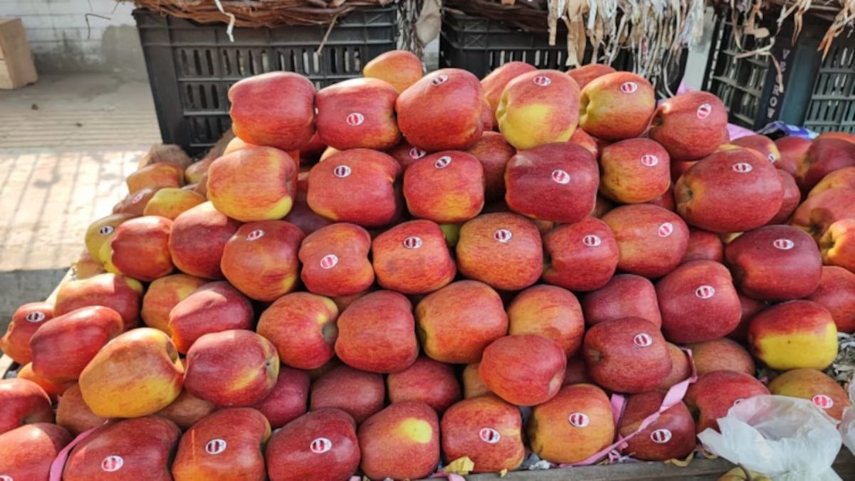 कश्मीरी सेब की बढ़ी मांग