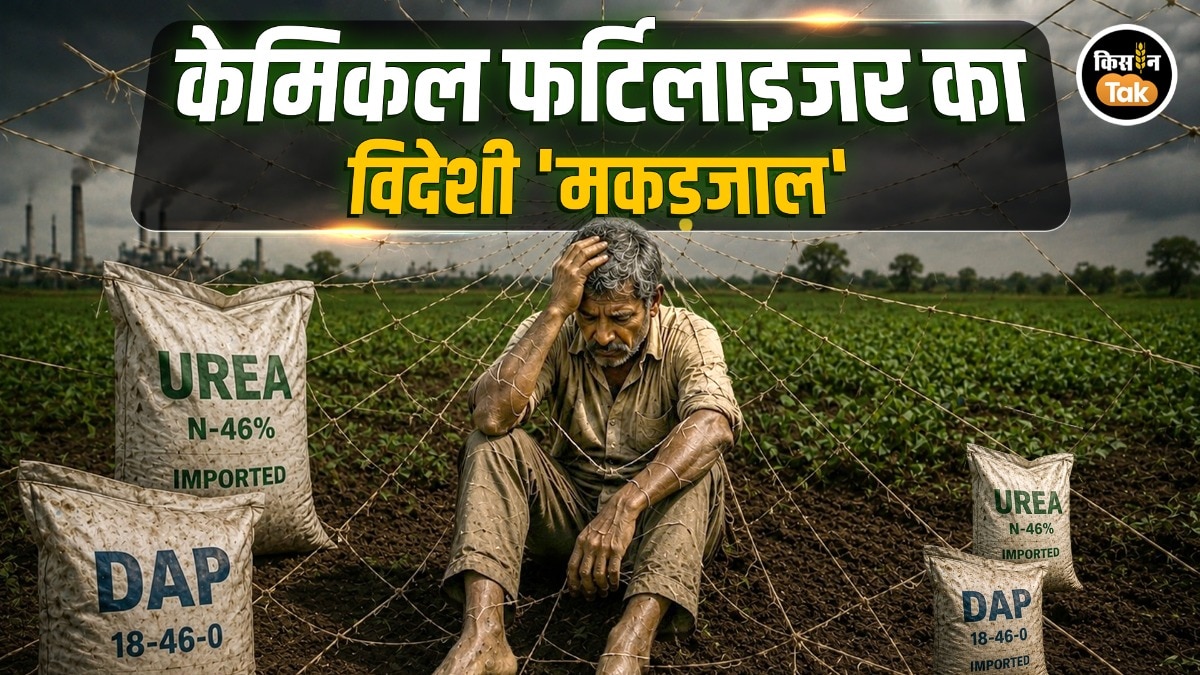 Fertilizer Crisis: सब्सिडी ने दी आजादी या बनाया गुलाम? केमिकल फर्टिलाइजर के विदेशी मकड़जाल में फंसी भारतीय खेती