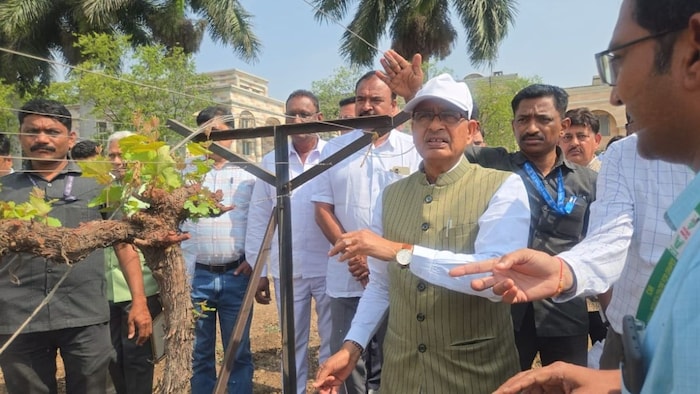 Shivraj grape research centre inspection