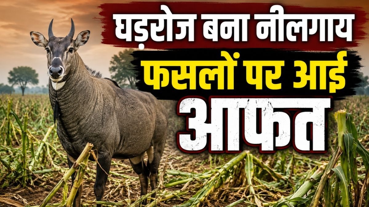 नाम बदलने से बढ़ गई किसानों की मुसीबत