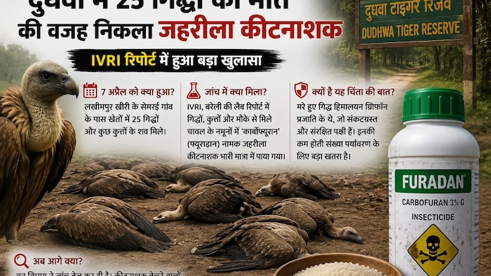 जहरीले कीटनाशक ने ली 25 गिद्धों की जान