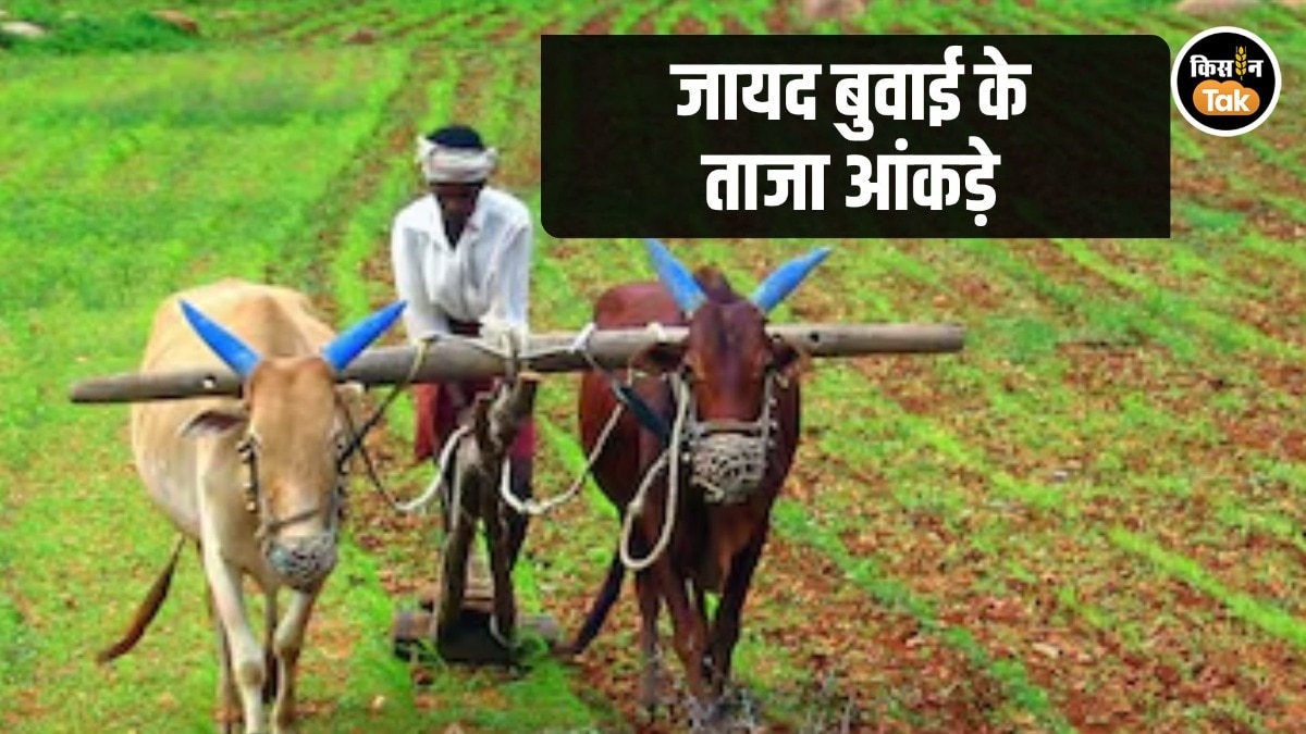 zaid Sowing data