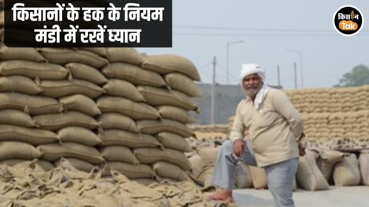 Haryana Mandi Farmers rights
