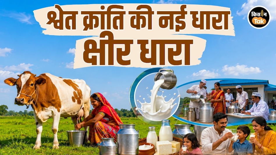 क्षीर धारा योजना से भोपाल में श्वेत क्रांति को मिलेगी नई रफ्तार, 76 गांव बनेंगे ‘क्षीर धारा ग्राम’ क्षीर धारा योजना से भोपाल में श्वेत क्रांति को मिलेगी नई रफ्तार, 76 गांव बनेंगे ‘क्षीर धारा ग्राम’