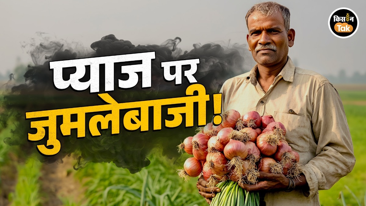 onion export