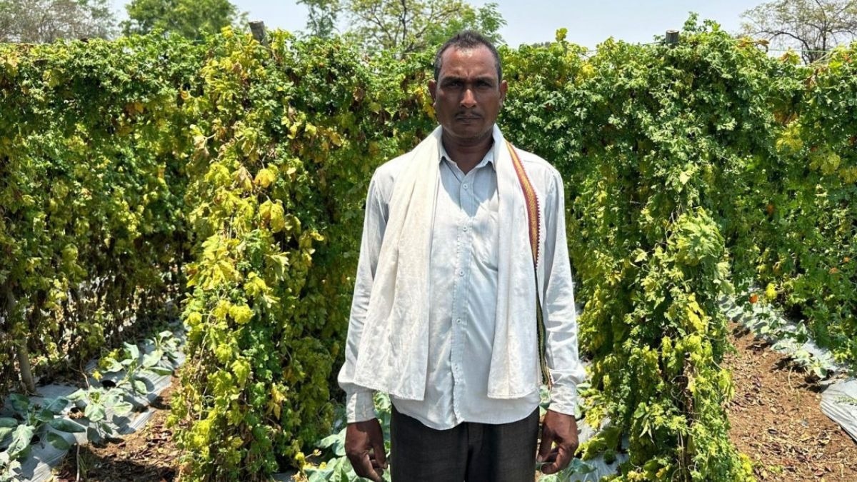 Kisan Chhabi Lal Chhattisgarh