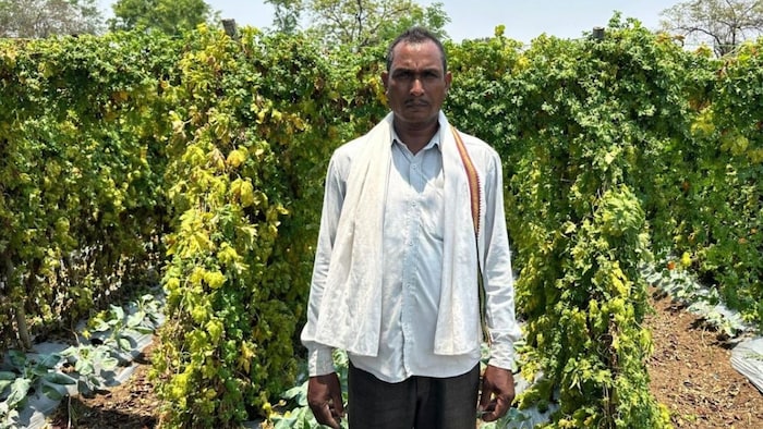 Kisan Chhabi Lal Chhattisgarh