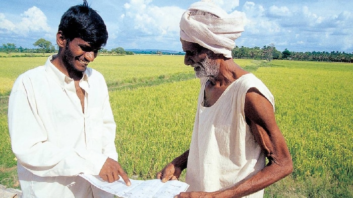 land record survet