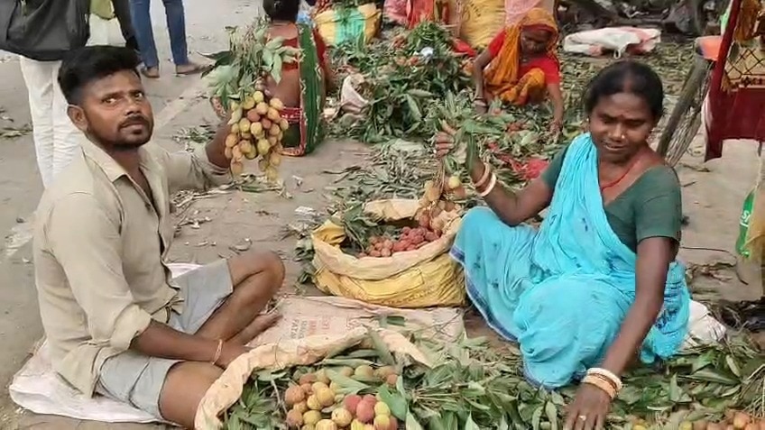 Shahi litchi Bihar