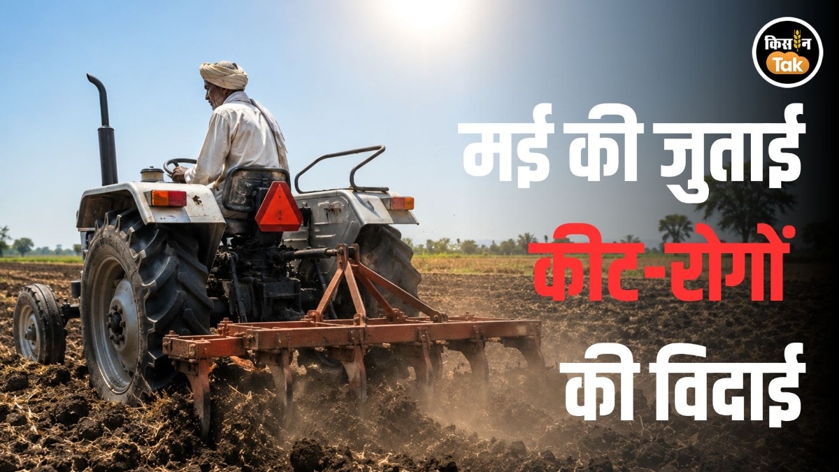 deep-ploughing benefits	