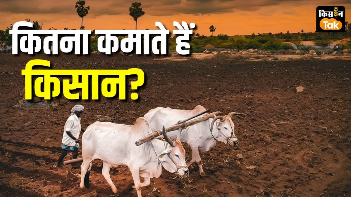  क‍ितना कमाते हैं भारत के क‍िसान? 