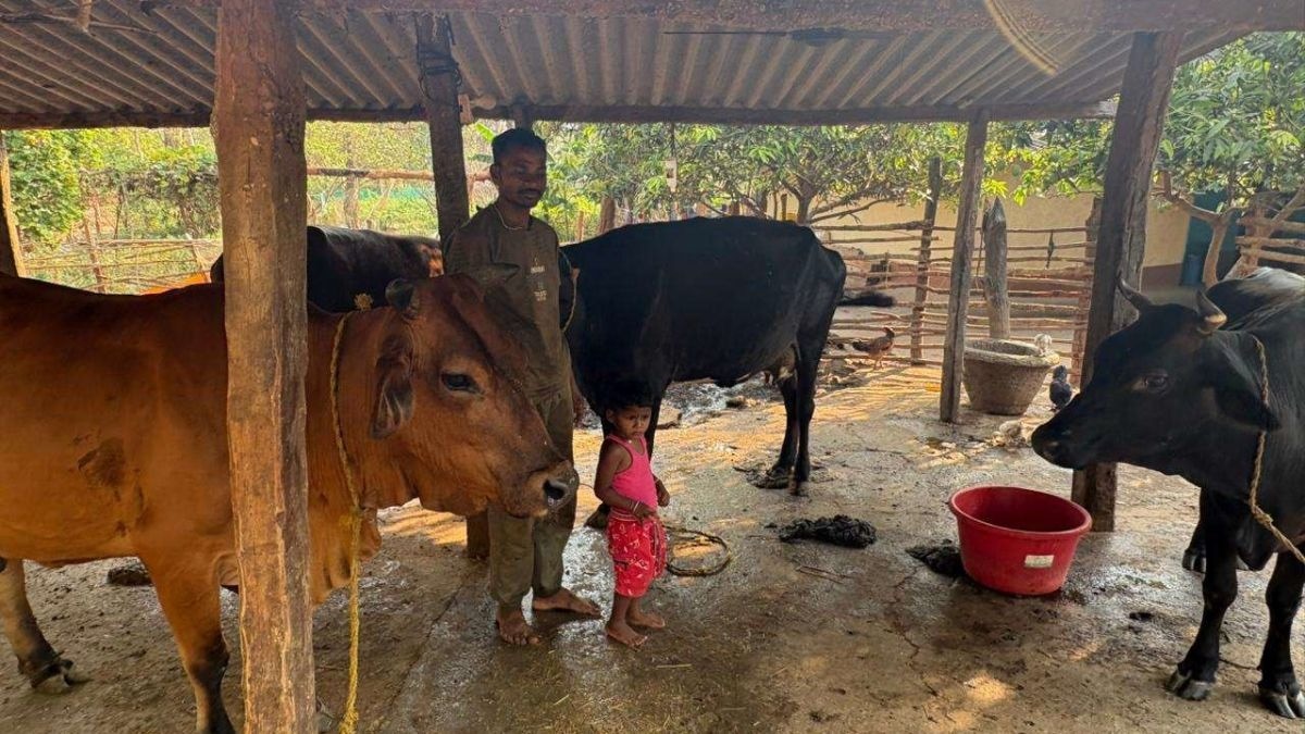 pyare lal yadav cg dairy farmer