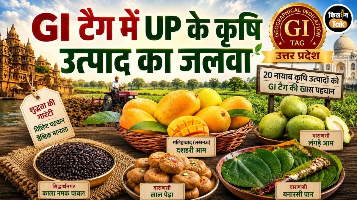 UP's GI-tagged agricultural products