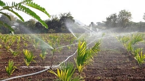 Haryana Water Tank Micro irrigation Plan