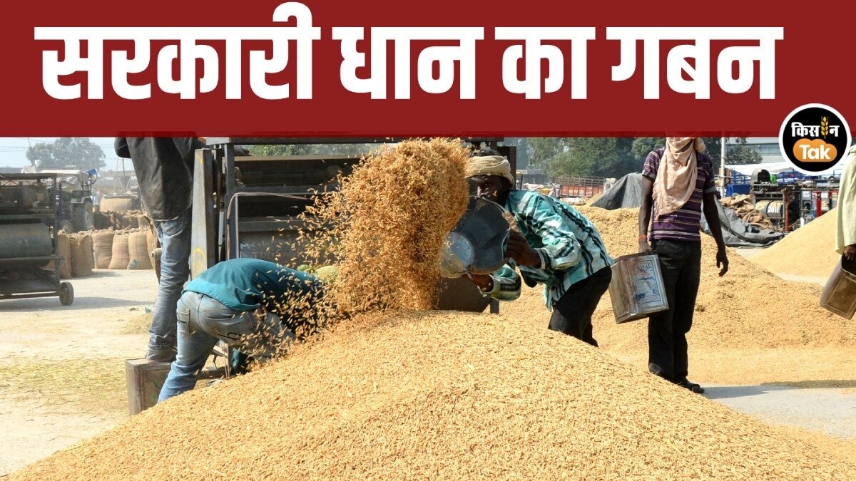 rajnandgaon paddy scam