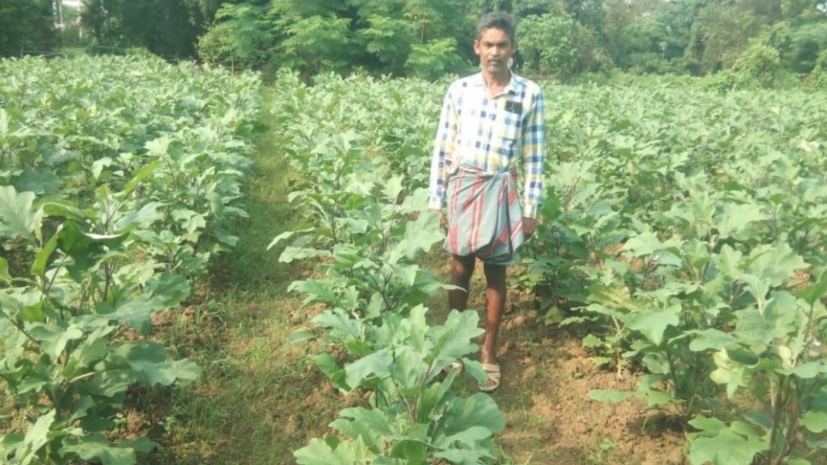 Farmer Naveen Sav