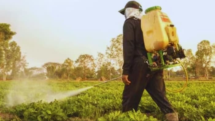 paraquat dichloride herbicide ban in andhra pradesh