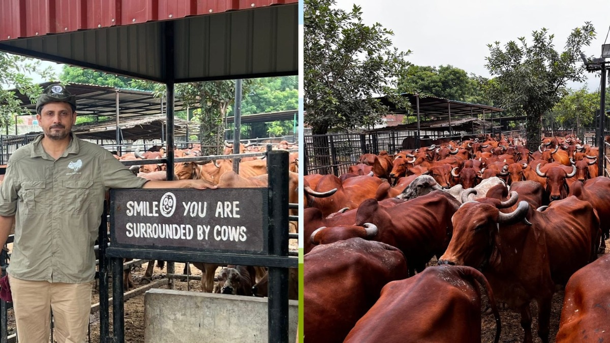 up software engineer quit job in united states and build 10 crore rupees yearly business by indigenous cows गाजियाबाद के सिकंदरपुर के रहने वाले सॉफ्टवेयर इंजीनियर असीम रावत