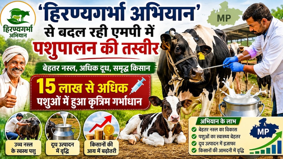 हिरण्यगर्भा अभियान’ से बदल रही एमपी में पशुपालन की तस्वीर, 15 लाख से अधिक पशुओं में हुआ कृत्रिम गर्भाधान हिरण्यगर्भा अभियान’ से बदल रही एमपी में पशुपालन की तस्वीर, 15 लाख से अधिक पशुओं में हुआ कृत्रिम गर्भाधान
