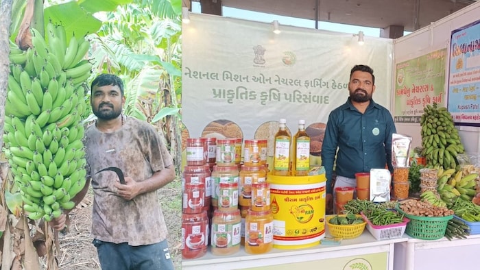 Banana Farmer Kalpesh