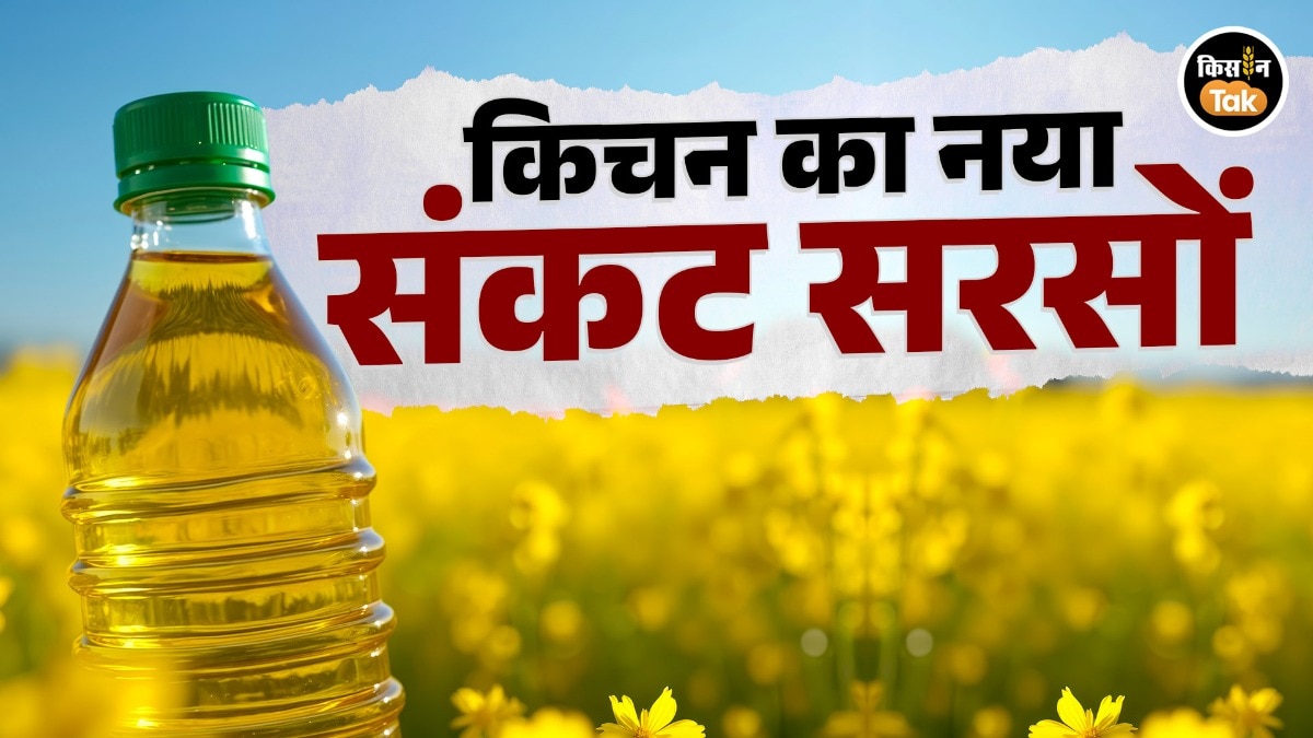 Mustard oil price rise India