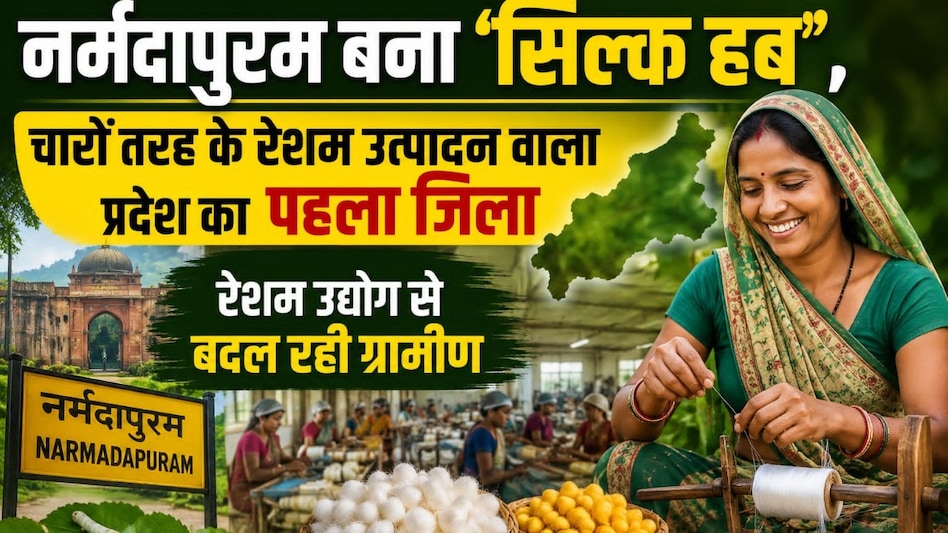 नर्मदापुरम बना ‘सिल्क हब’, चारों तरह के रेशम उत्पादन वाला प्रदेश का पहला जिला रेशम उद्योग से बदल रही ग्रामीण नर्मदापुरम बना ‘सिल्क हब’, चारों तरह के रेशम उत्पादन वाला प्रदेश का पहला जिला रेशम उद्योग से बदल रही ग्रामीण