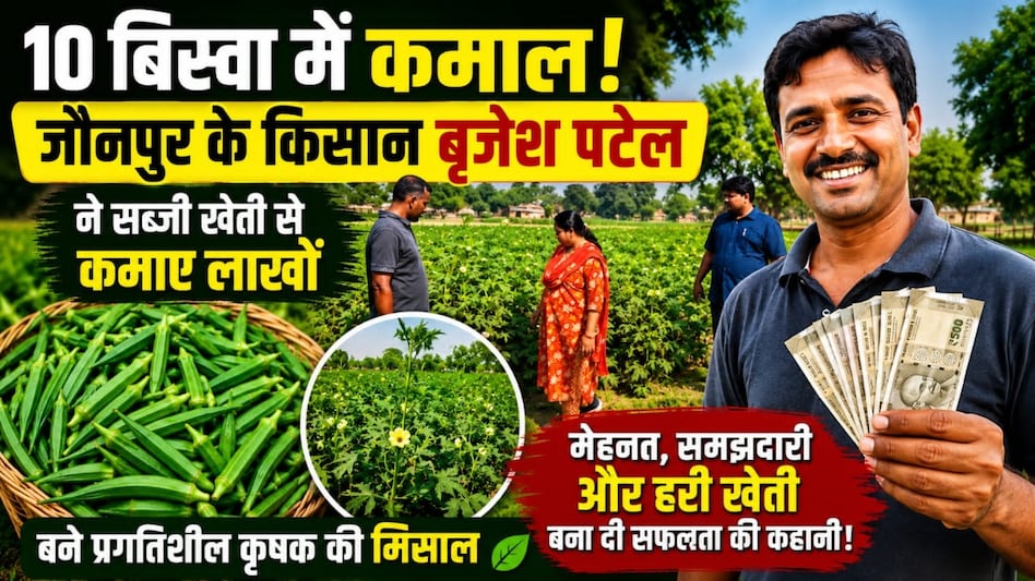 10 बिस्वा में कमाल: जौनपुर के किसान बृजेश पटेल ने सब्जी खेती से कमाए लाखों, बने प्रगतिशील कृषक की मिसाल 10 बिस्वा में कमाल: जौनपुर के किसान बृजेश पटेल ने सब्जी खेती से कमाए लाखों, बने प्रगतिशील कृषक की मिसाल