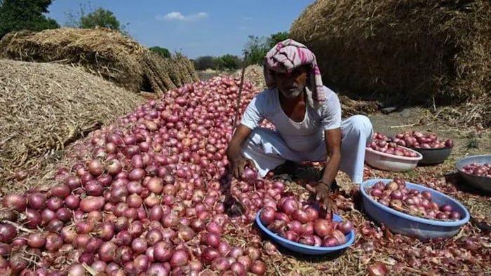 महाराष्ट्र में प्याज संकट पर एक्शन