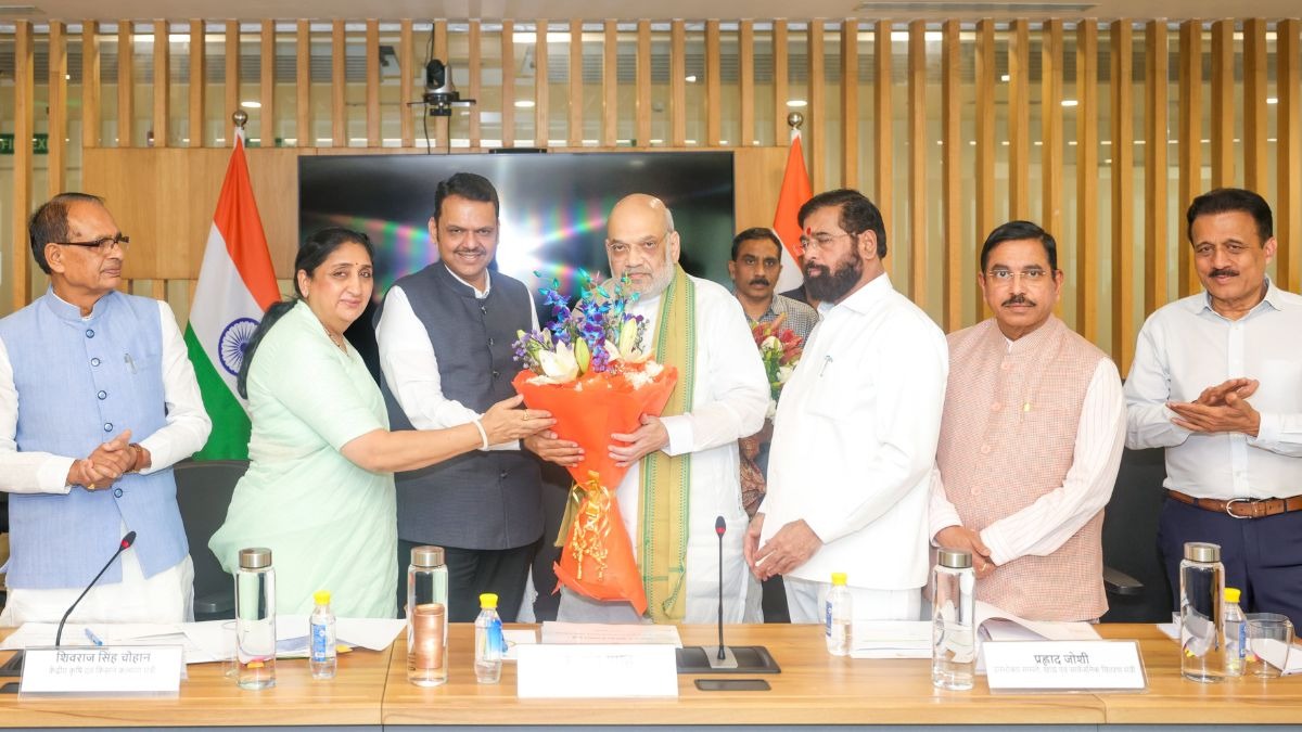 Maharashtra CM dy cm meet union ministers