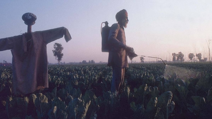organic pesticides