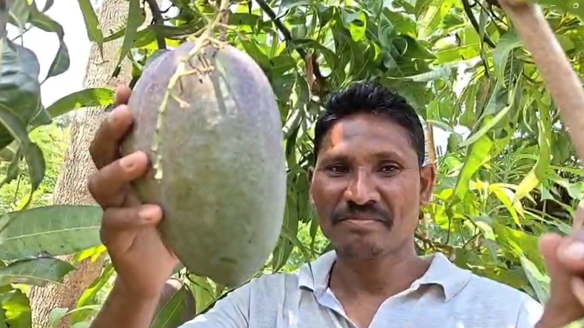 Tribal Farmer Success Story