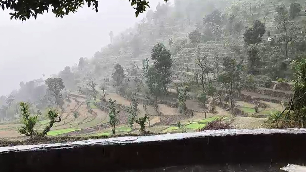 Tehri weather update