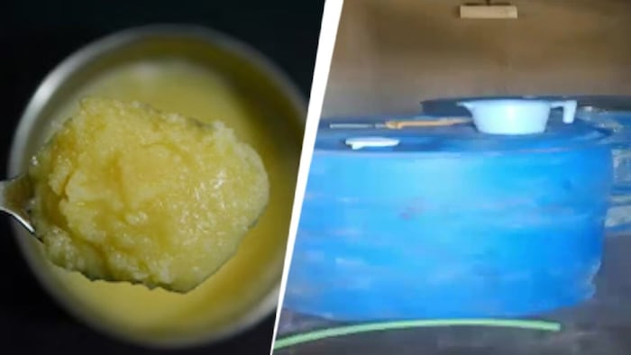 adulterated ghee