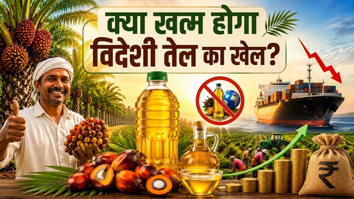 थमेगा विदेशी खाद्य तेल का खेल