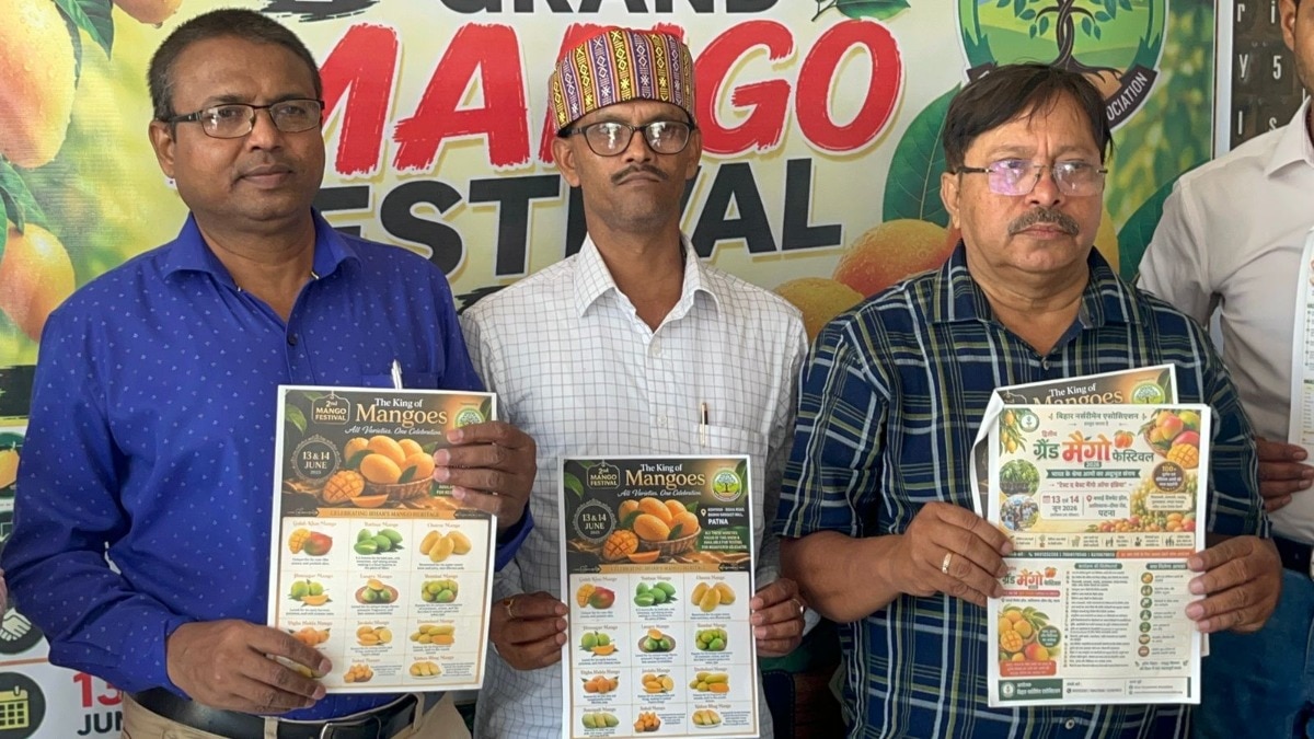 grand mango festival 2026