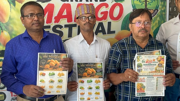 grand mango festival 2026