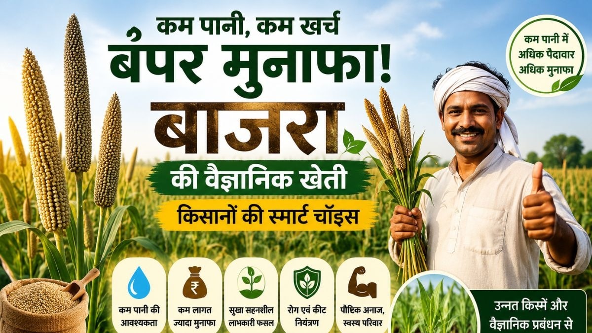 सूखे में भी देगा भरपूर उत्पादन