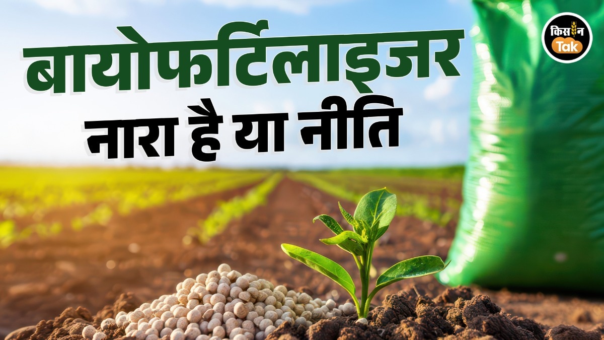 biofertilizer use in India