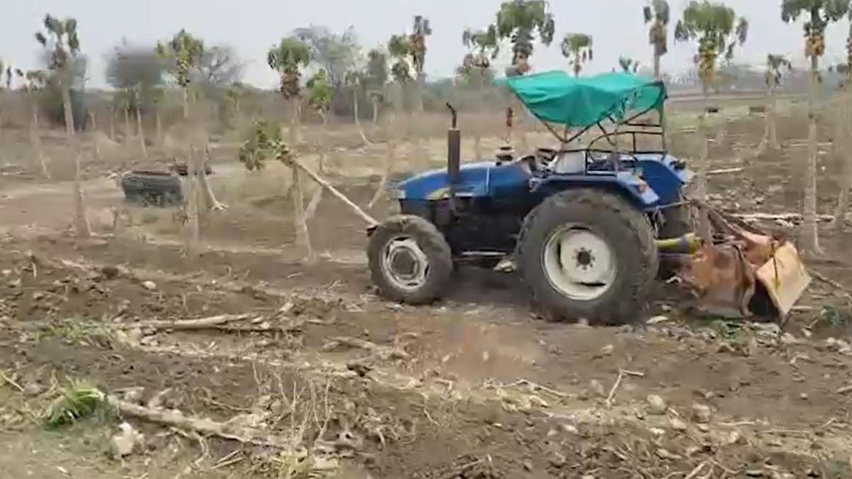 Chhattisgarh horticulture crisis