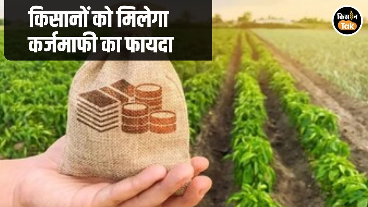maharashtra farm loan waiver