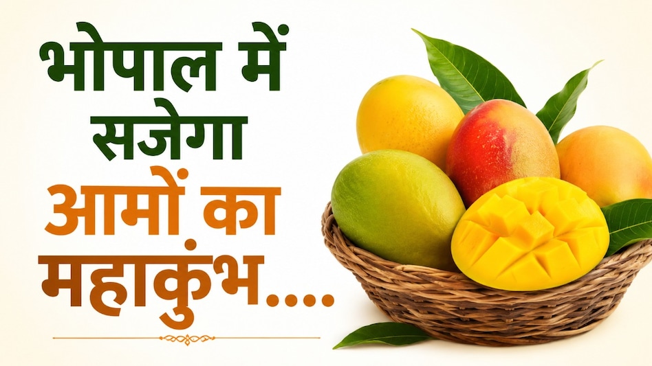 भोपाल में आमों का महाकुंभ: 6-7 जून को सजेगा राज्य स्तरीय आम महोत्सव भोपाल में आमों का महाकुंभ: 6-7 जून को सजेगा राज्य स्तरीय आम महोत्सव