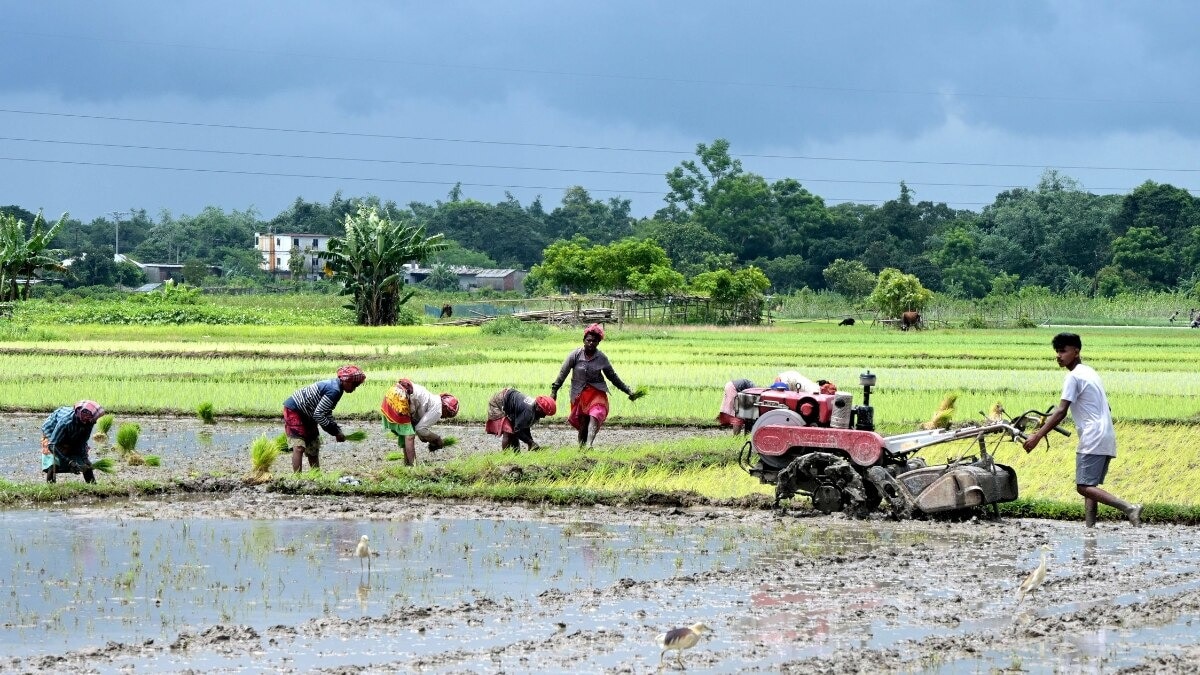 Monsoon Impact KHARIF OUTLOOK ICICI Bank Report