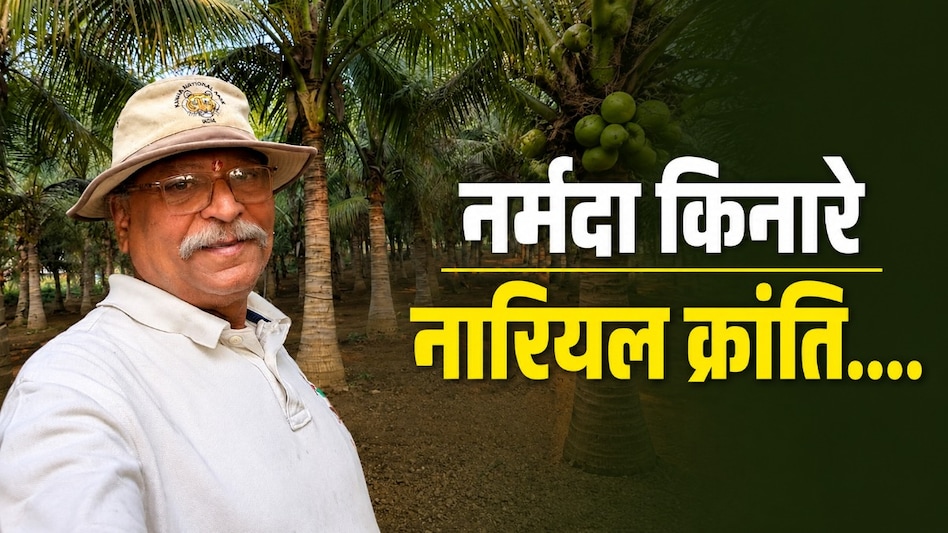 लोगों ने कहा असंभव, किसान ने कर दिखाया संभव: नर्मदा तट पर लहलहा रहे 2 हजार नारियल के पेड़ लोगों ने कहा असंभव, किसान ने कर दिखाया संभव: नर्मदा तट पर लहलहा रहे 2 हजार नारियल के पेड़