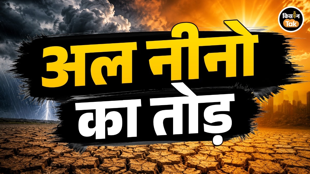 अल नीनो के संकट में किसानों के काम आएंगे ये 'कृषि हथियार', सूखे की मार होगी बेअसर