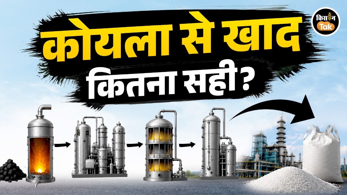 Coal Gasification urea production