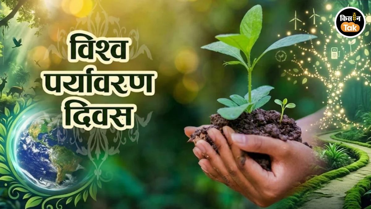 विश्व पर्यावरण दिवस (AI- तस्वीर)